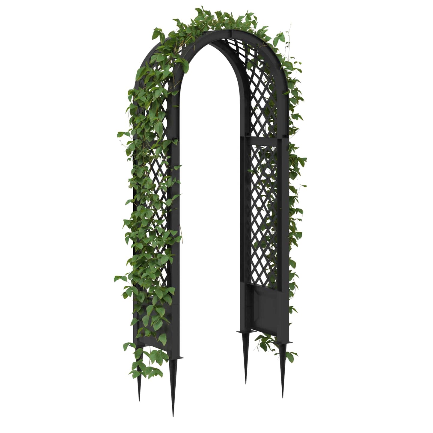 Rosenbogen Mit Spitzen 97 X 43 X 218 Cm Pp
