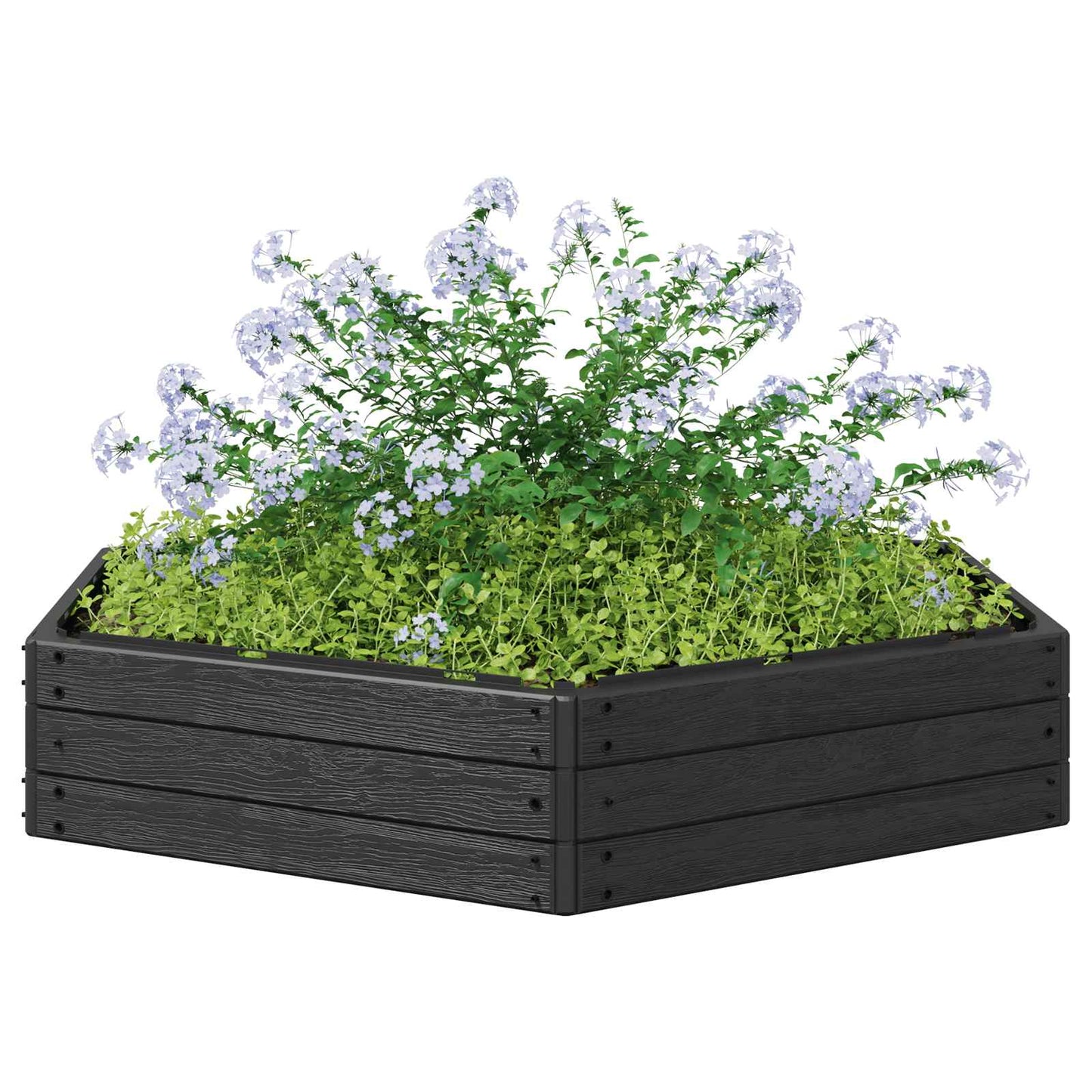 Hochbeet Schwarz 148 X 129 X 25 Cm Pp