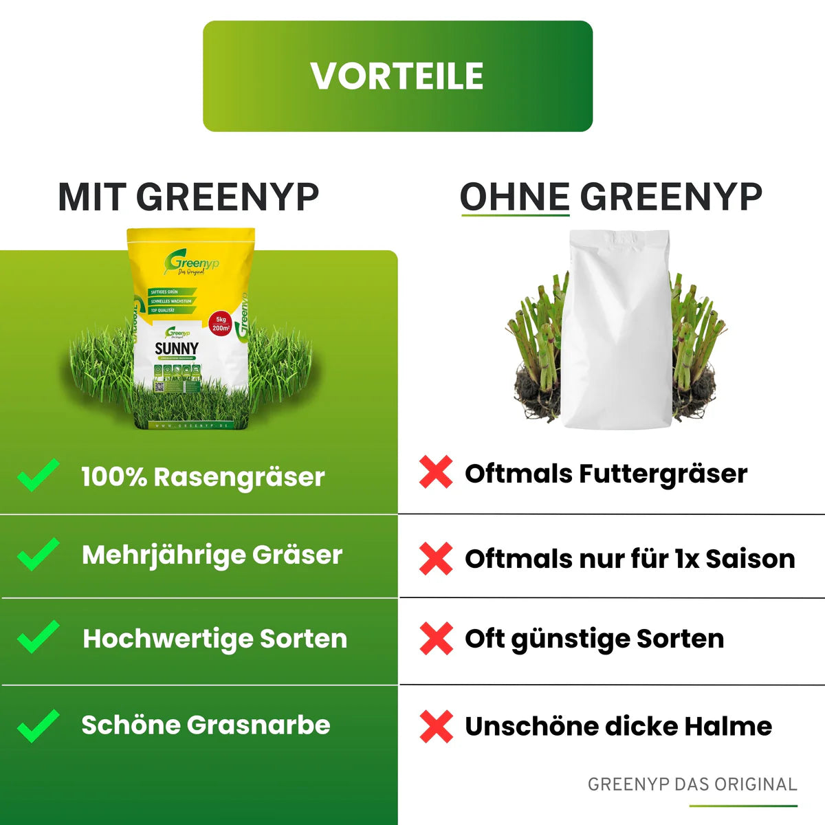 Greenyp Sunny Rasensamen | Trockenrasen