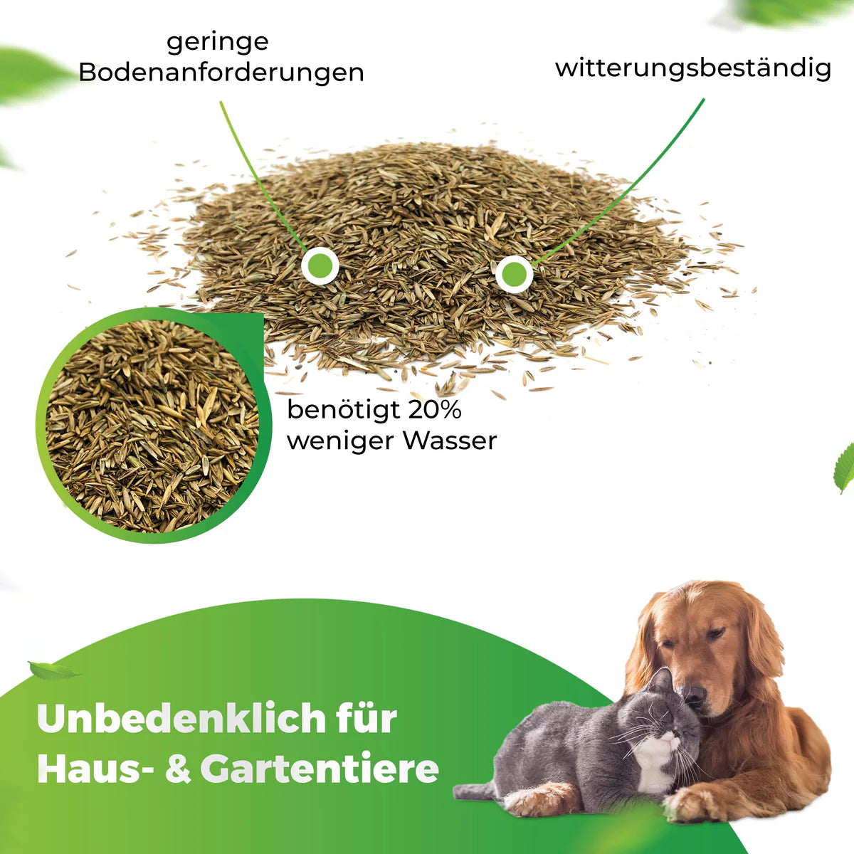 Greenyp Sunny Rasensamen | Trockenrasen