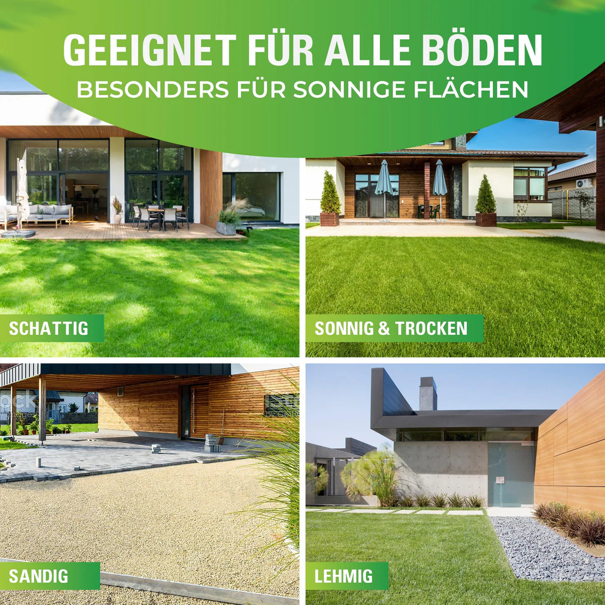 Greenyp Sunny Rasensamen | Trockenrasen